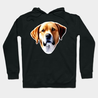 Labrador dog Hoodie